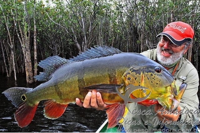 Turismo Rural MT: Os Benefícios Da Pesca Esportiva E O Conceito Do ...