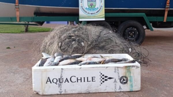 PMA Apreende 1500 Metros De Redes De Pesca E 50 Kg De Pescado Ilegal No