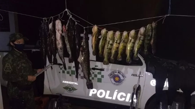 PMA flagra pesca ilegal e autua infratores em R 4 6 mil no rio Paraná