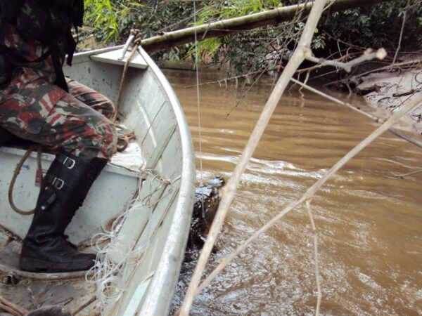 Policiais Salvam Jacar Preso Em Anzol De Galho Portal Pesca Amadora