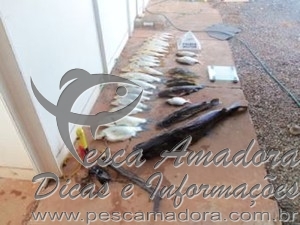 Tr S S O Presos Kg De Pescado Ilegal E Arp O Caseiro Em Buritis