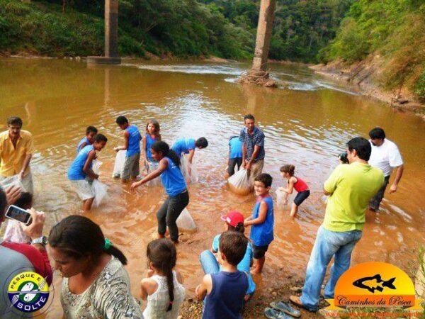 Cemig Realiza Soltura De Mil Peixes Em Tr S Marias E Piumhi Portal