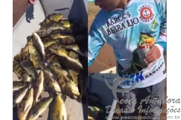 Equipes De “pesca Esportiva” Aparecem Em Vídeo Praticando Pesca Predatória Portal Pesca 3361