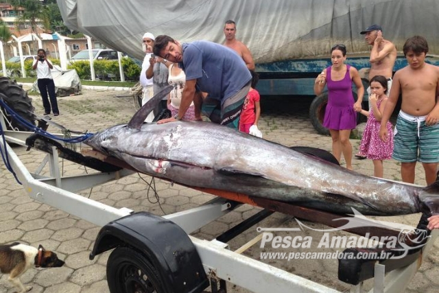 Fundamar – Fundação Marlin Azul - Ilha brasileira foi fechada para  visitação por ter cobras perigosíssimas cujo veneno derrete a carne humana