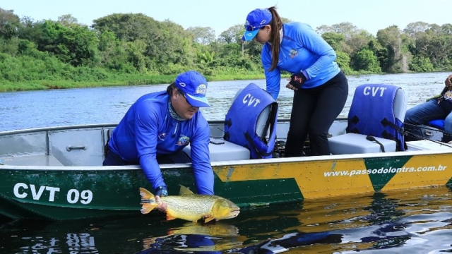 Pesca Esportiva Na Modalidade “pesque E Solte” Está Liberado No Rio Paraguai Ms Portal Pesca 1696