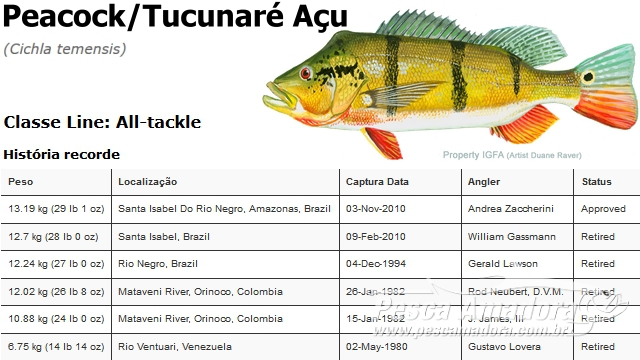 Recorde mundial na pesca de Fly: Tucunaré de 91 centímetros é o maior da  categoria All-Tackle